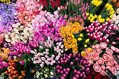 特别好评动漫风类大富翁游戏《100%鲜橙汁》现已在Steam开启限时免费活动